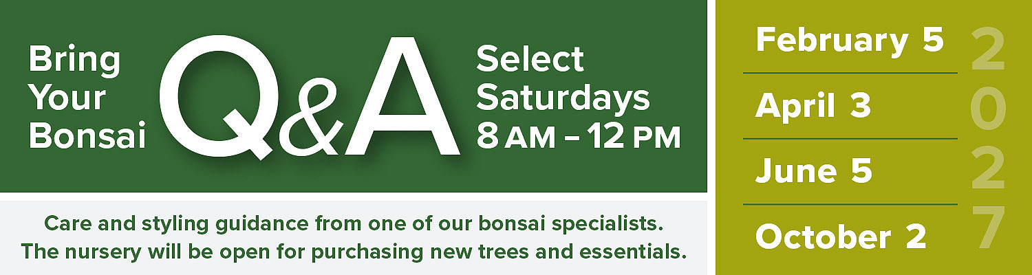 Bring Your Bonsai Q&A 2027